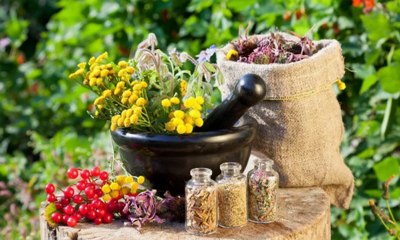 Herbs of helminths